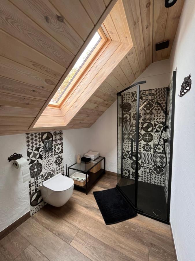 Bieszczadzki Hozy Rys Apartment Berezka